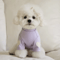Love Bear Dog Hoodie Warm Winter Pet Shirt For Teddy Yorkshire Small Pets 2