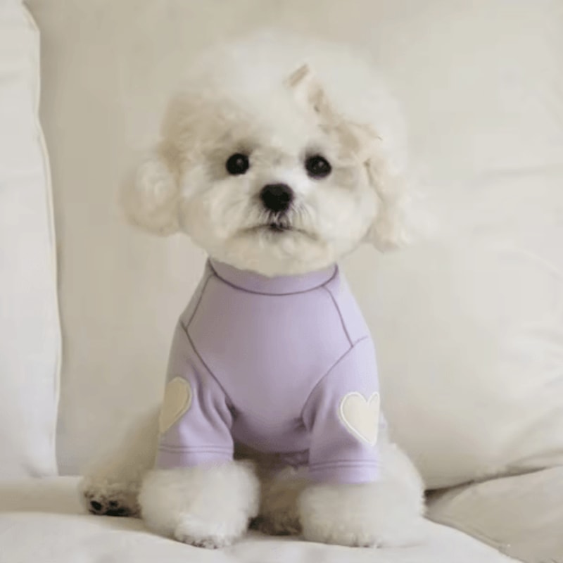 Love Bear Dog Hoodie Warm Winter Pet Shirt For Teddy Yorkshire Small Pets 2