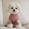 Love Bear Dog Hoodie Warm Winter Pet Shirt For Teddy Yorkshire Small Pets 3