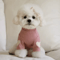 Love Bear Dog Hoodie Warm Winter Pet Shirt For Teddy Yorkshire Small Pets 3