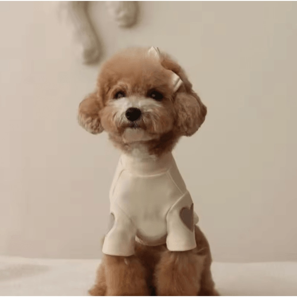 Love Bear Dog Hoodie Warm Winter Pet Shirt For Teddy Yorkshire Small Pets 5