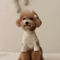 Love Bear Dog Hoodie Warm Winter Pet Shirt For Teddy Yorkshire Small Pets 5