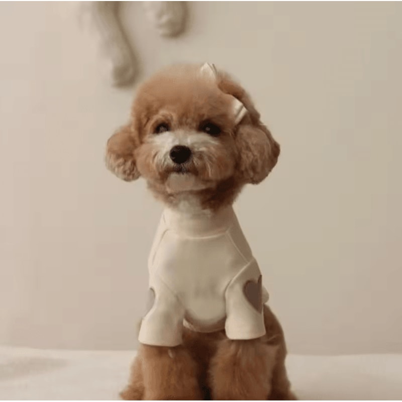 Love Bear Dog Hoodie Warm Winter Pet Shirt For Teddy Yorkshire Small Pets 5