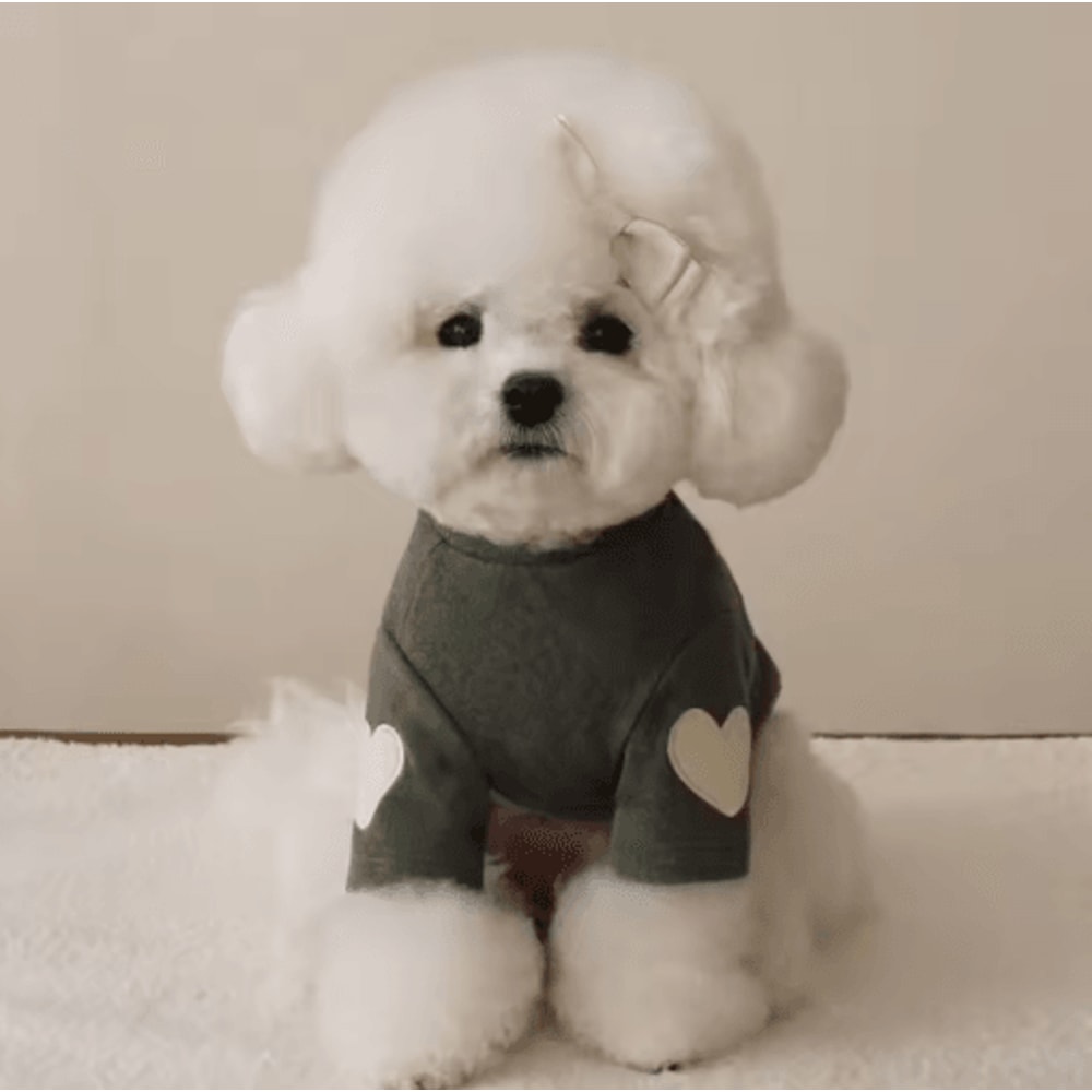 Love Bear Dog Hoodie Warm Winter Pet Shirt For Teddy Yorkshire Small Pets 6