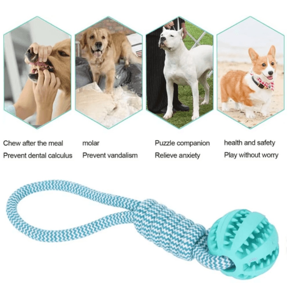 Rubber Hollow Ball Dog Toy Teeth Cleaning Chew Ball With Bell For Puppies 17
