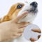 5PCS Soft Silicone Pet Finger Toothbrush Set Dog Cat Teeth Cleaning Brush 3