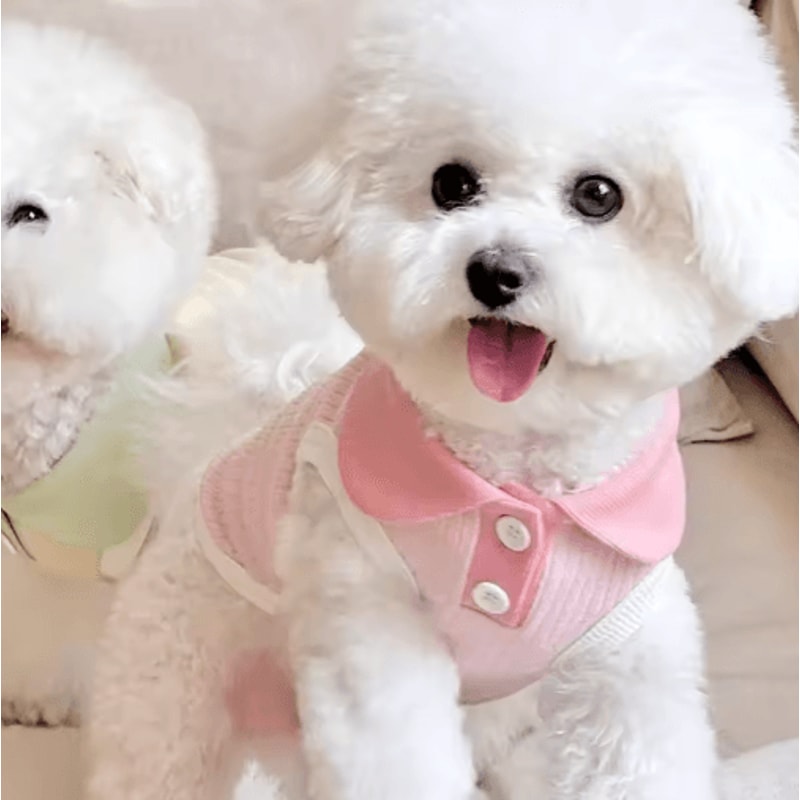 BreezyPaws Lightweight Dog Summer Clothes Shirt For Small Pets 2