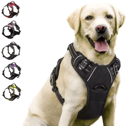 trailguard leather dog harness set with collar & leash for small to large dogs
