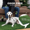 FreshPatch Pro Dog Potty Training Mat With Reusable Artificial Grass 8