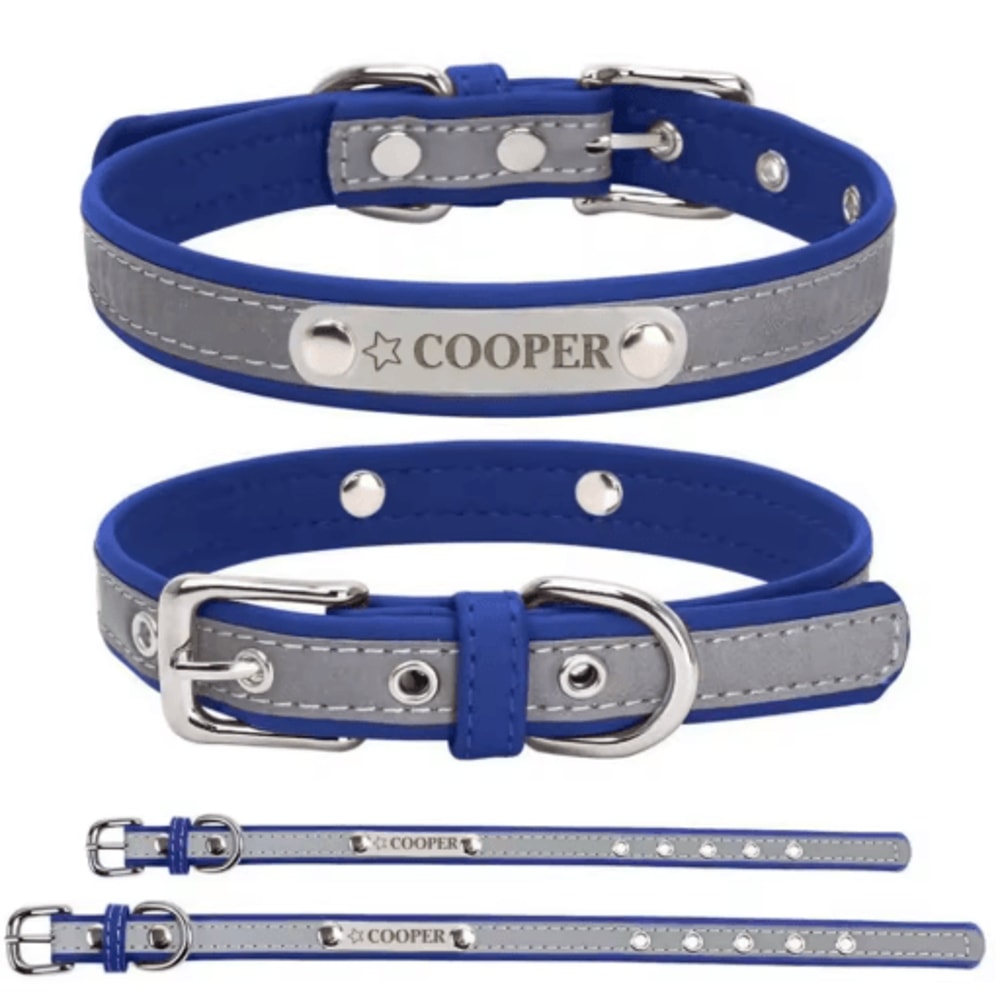 PawSignature Personalized Leather Dog Collar With Custom Engraved Name Plate 6