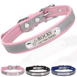 pawsignature personalized leather dog collar with custom engraved name plate
