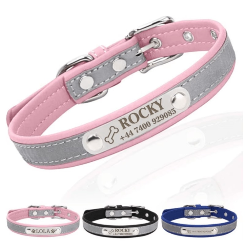 PawSignature Personalized Leather Dog Collar With Custom Engraved Name Plate 0