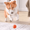 PlayPulse Smart Interactive Dog Toy Ball With Automatic Movement 4