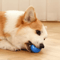 PlayPulse Smart Interactive Dog Toy Ball With Automatic Movement 5