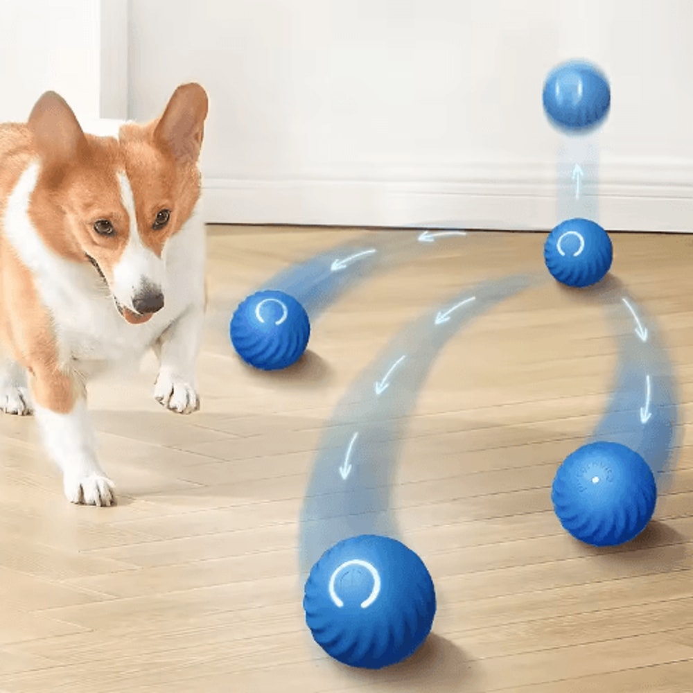PlayPulse Smart Interactive Dog Toy Ball With Automatic Movement 6