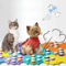 PawVoice Interactive Dog Communication Buttons For Pet Training 3
