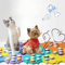 PawVoice Interactive Dog Communication Buttons For Pet Training 0