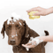 SoftSpa Silicone Pet Bath Brush For Dogs Cats 6