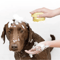 SoftSpa Silicone Pet Bath Brush For Dogs Cats 6