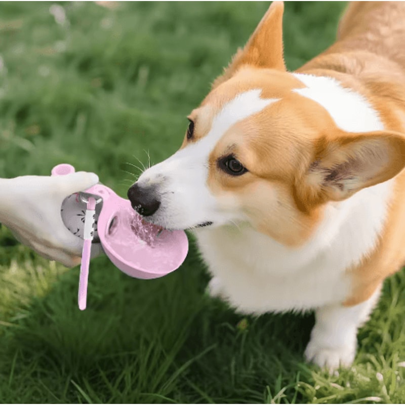 AquaPaws 2in1 Dog Water Bottle For Travel Outdoor Adventures 8