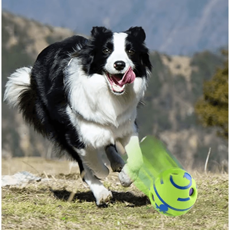 GiggleRoll Interactive Dog Toy Ball With Fun Wobble Sounds 6