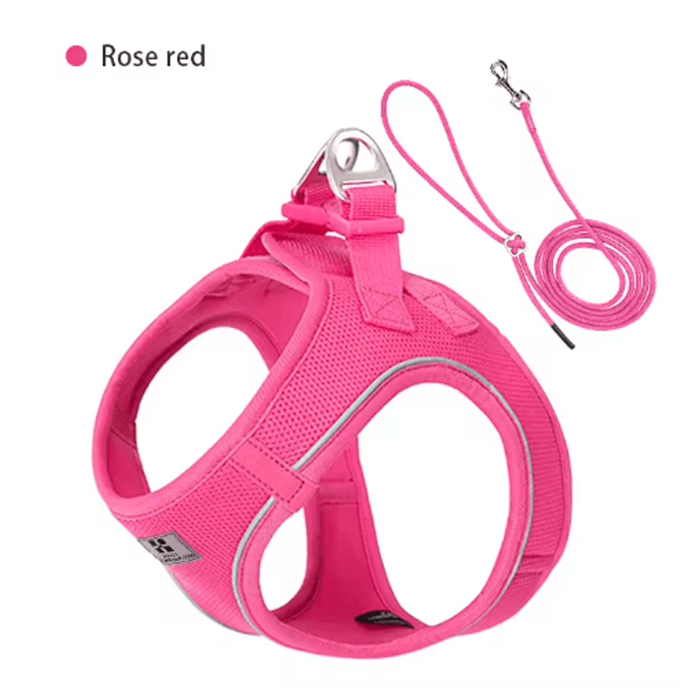 SafeStride Reflective Dog Harness Leash Set For Small Medium Pets 5