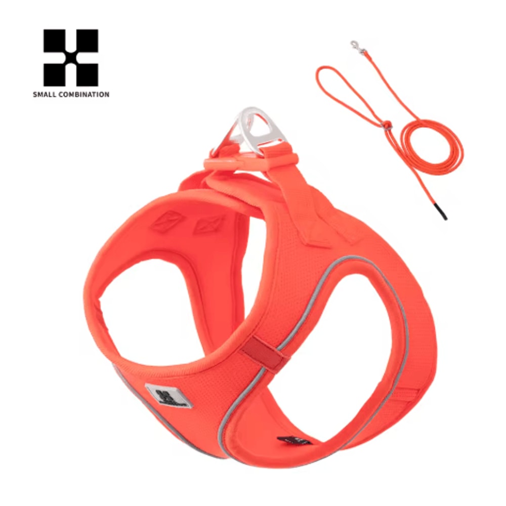 SafeStride Reflective Dog Harness Leash Set For Small Medium Pets 6