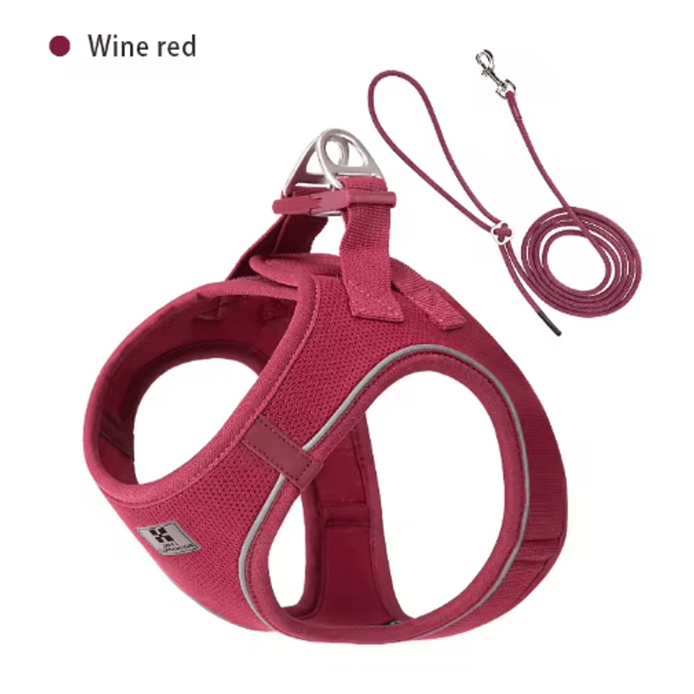SafeStride Reflective Dog Harness Leash Set For Small Medium Pets 7