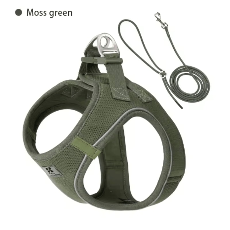 SafeStride Reflective Dog Harness Leash Set For Small Medium Pets 9