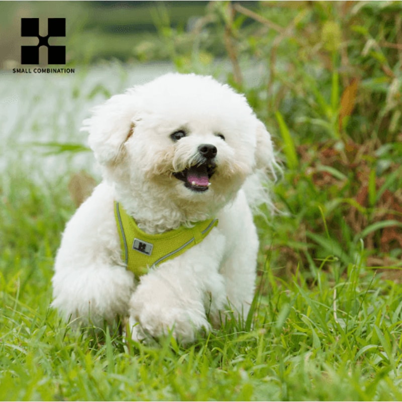 SafeStride Reflective Dog Harness Leash Set For Small Medium Pets 14