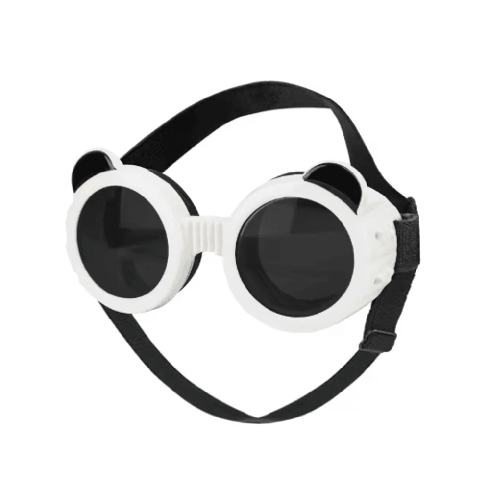 TrailShield Waterproof Dog Goggles For Small Dogs Outdoor Adventures 2