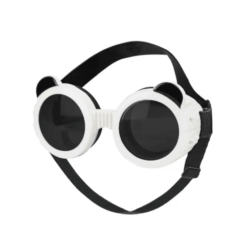 TrailShield Waterproof Dog Goggles For Small Dogs Outdoor Adventures 2