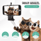 TrailShield Waterproof Dog Goggles For Small Dogs Outdoor Adventures 4