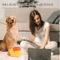 QuackPlay 2in1 Interactive Dog Toy Treat Dispenser 4
