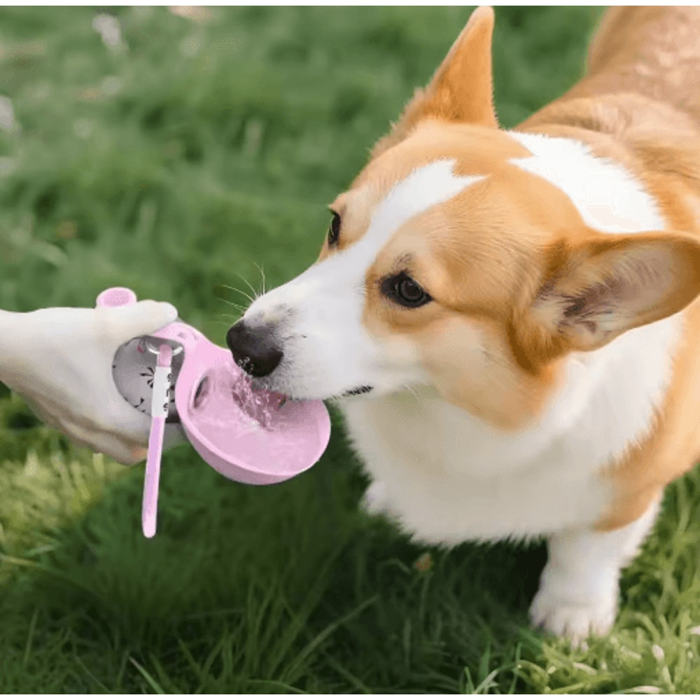 HydroTrail Portable Dog Water Bottle With Folding Drinking Cup 8