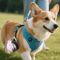 HydroTrail Portable Dog Water Bottle With Folding Drinking Cup 9