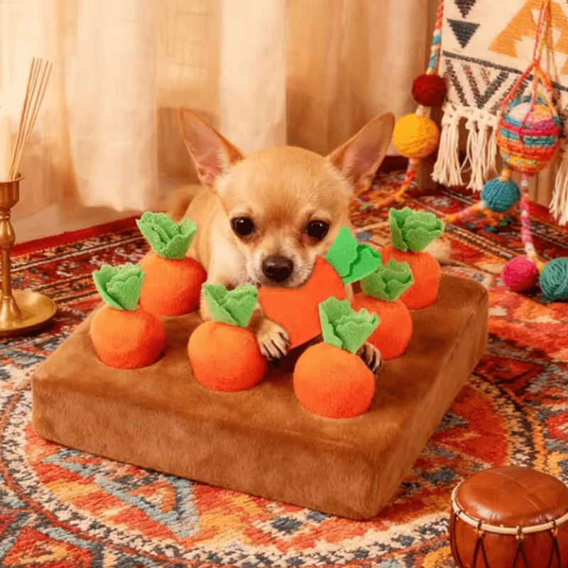 SniffHarvest Interactive Dog Snuffle Mat For Mental Enrichment Slow Feeding 3