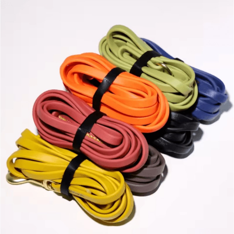 TrailTough Waterproof Dog Training Leash For Small Medium Large Dogs 0