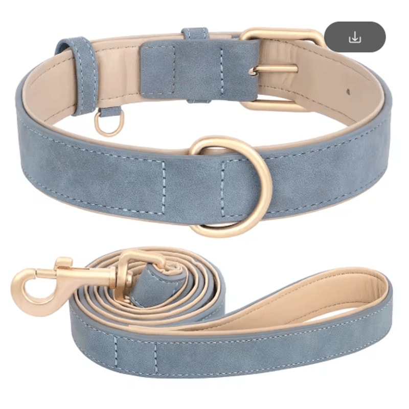 LuxeWalk Padded Dog Collar And Leash Set For Small Medium Dogs 7
