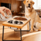 Comfort Dine Raised Cat Bowl Stand With Tilted Stainless Steel Feeding Bowls 0