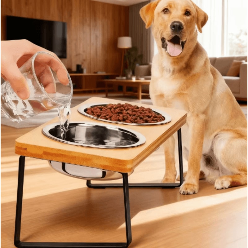 Comfort Dine Raised Cat Bowl Stand With Tilted Stainless Steel Feeding Bowls 0