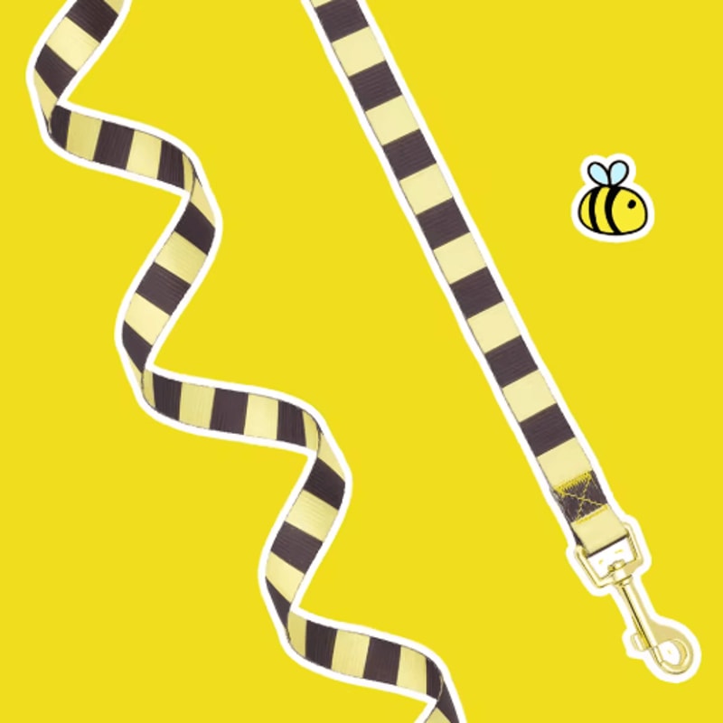 BumblePaws Breathable Dog Harness And Leash Set For Small Pets 6