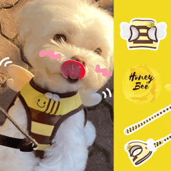 bumblepaws breathable dog harness and leash set for small pets