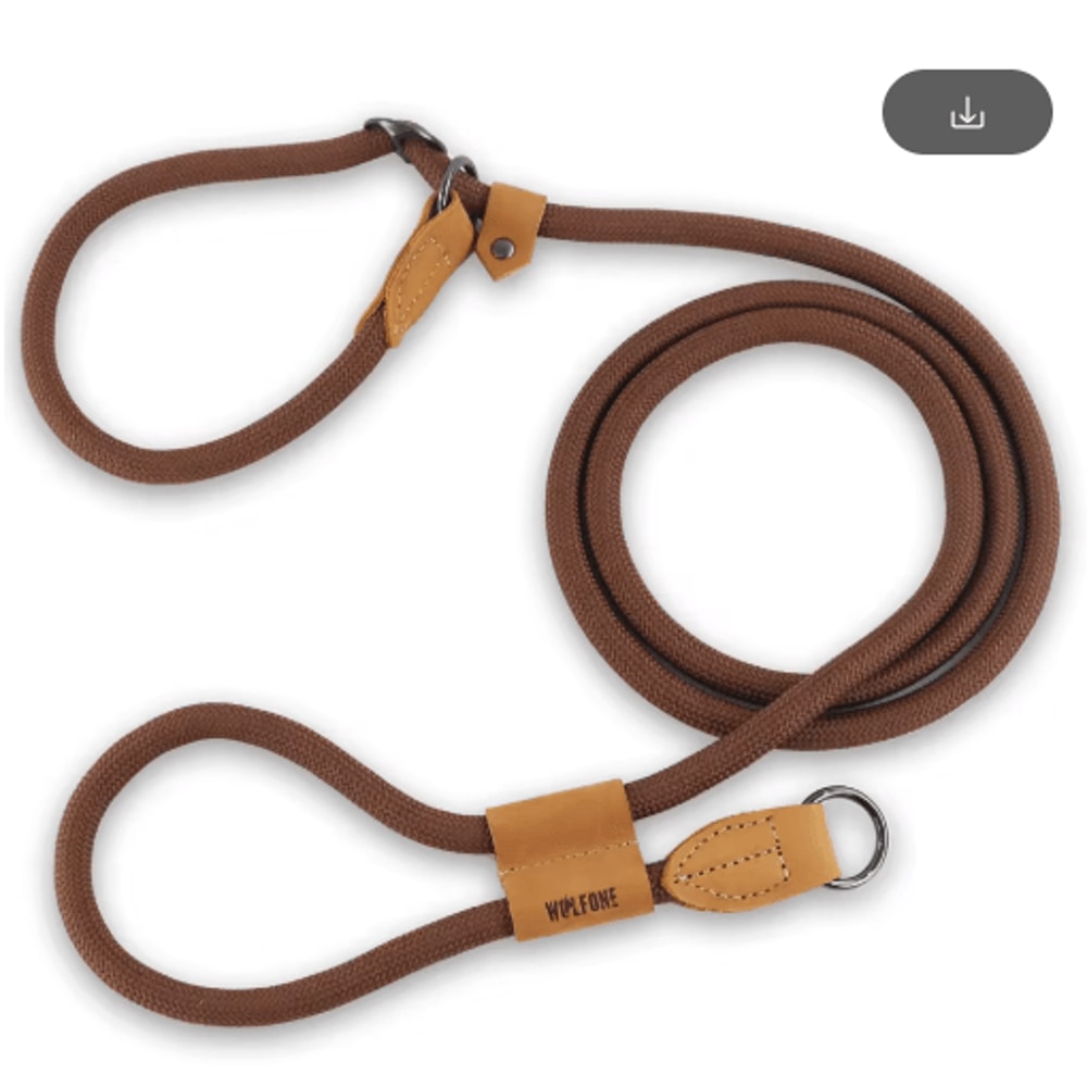 FlexTrail Adjustable Hands Free Dog Leash For Walking Running 1