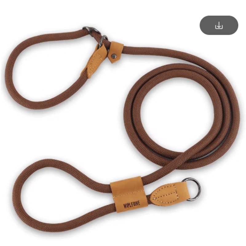 FlexTrail Adjustable Hands Free Dog Leash For Walking Running 1