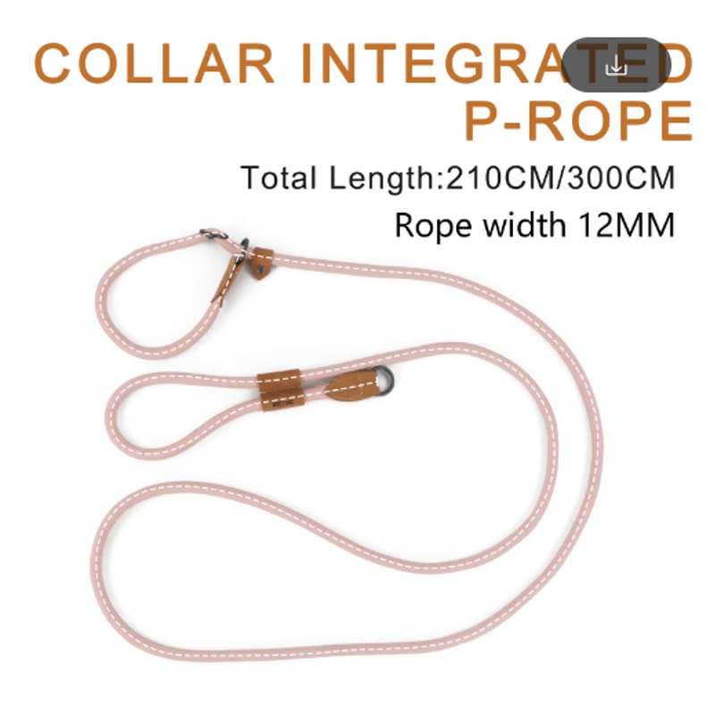FlexTrail Adjustable Hands Free Dog Leash For Walking Running 10