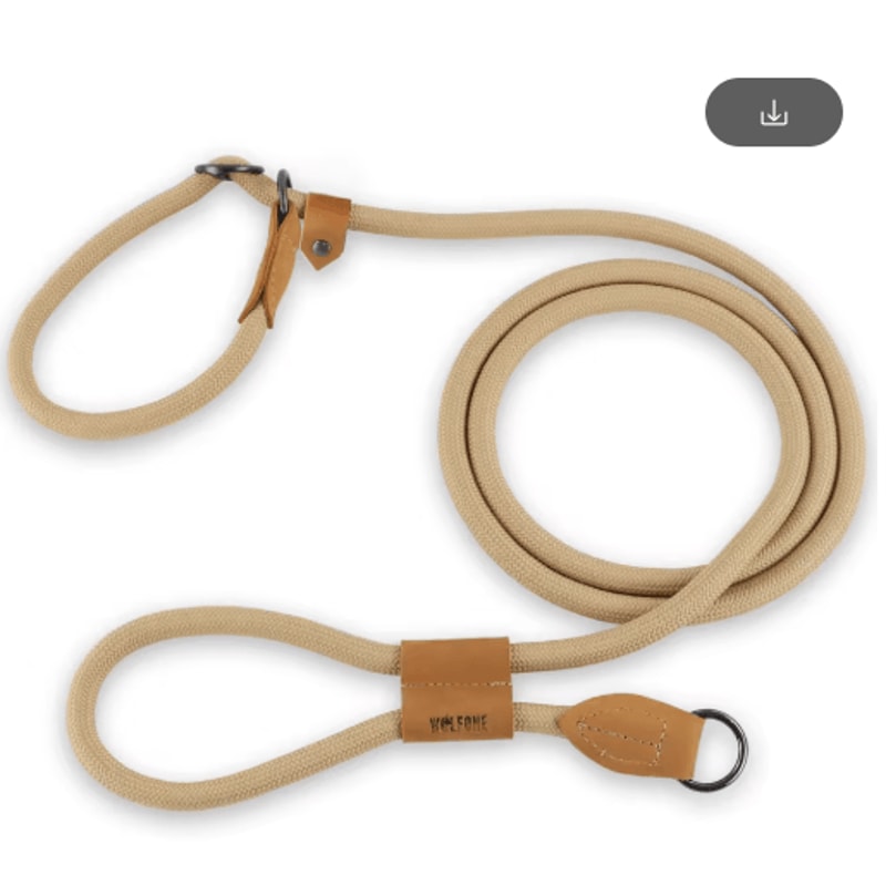 FlexTrail Adjustable Hands Free Dog Leash For Walking Running 2