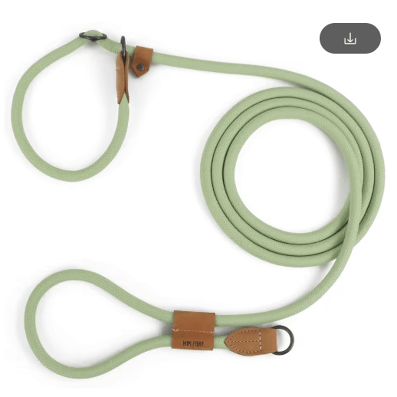 FlexTrail Adjustable Hands Free Dog Leash For Walking Running 3