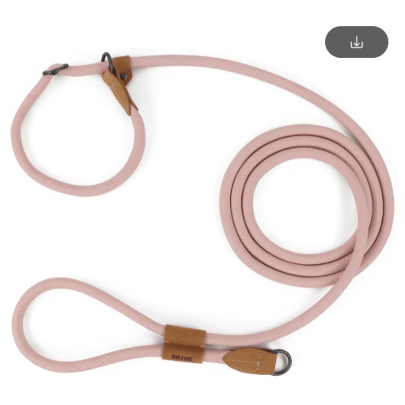 FlexTrail Adjustable Hands Free Dog Leash For Walking Running 4
