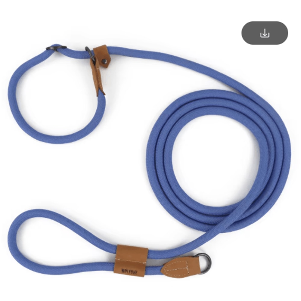 FlexTrail Adjustable Hands Free Dog Leash For Walking Running 5